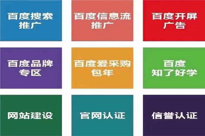 知名SEM公司案例分析：优化策略与成果